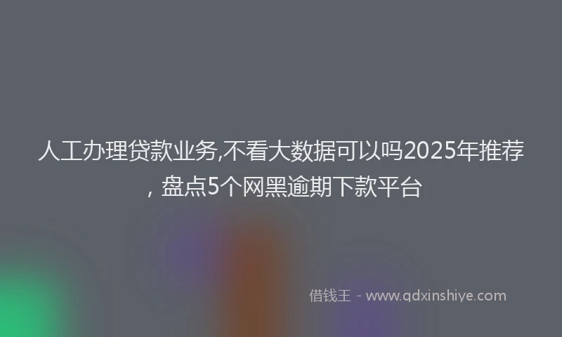 人工办理贷款业务,不看大数据可以吗2025年推荐，盘点5个网黑逾期下款平台
