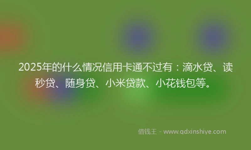 2025年的什么情况信用卡通不过有：滴水贷、读秒贷、随身贷、小米贷款、小花钱包等。