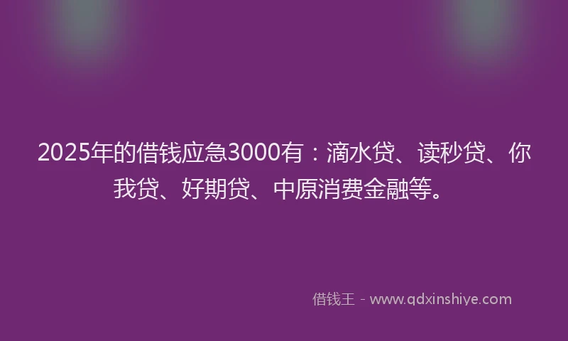 2025年的借钱应急3000有：滴水贷、读秒贷、你我贷、好期贷、中原消费金融等。