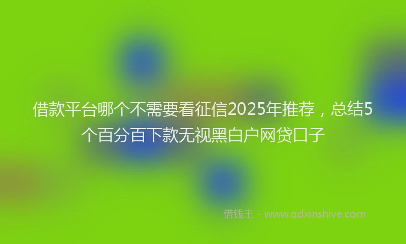 借款平台哪个不需要看征信2025年推荐，总结5个百分百下款无视黑白户网贷口子