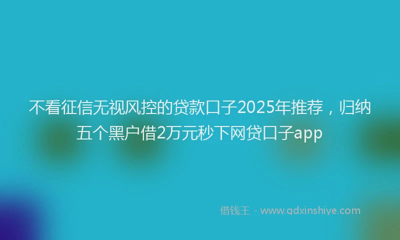 不看征信无视风控的贷款口子2025年推荐，归纳五个黑户借2万元秒下网贷口子app