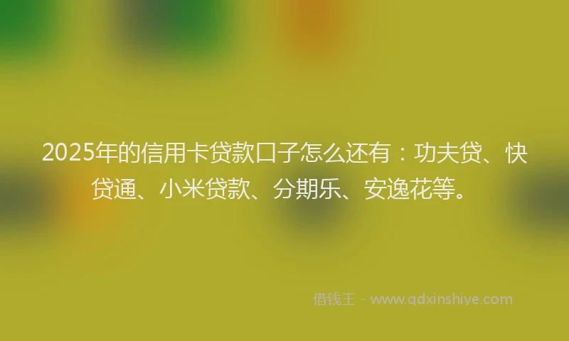 2025年的信用卡贷款口子怎么还有：功夫贷、快贷通、小米贷款、分期乐、安逸花等。