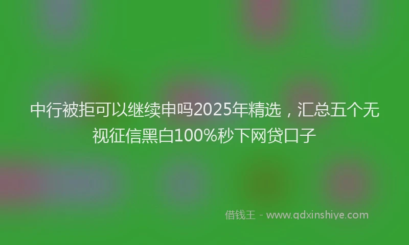 中行被拒可以继续申吗2025年精选，汇总五个无视征信黑白100%秒下网贷口子