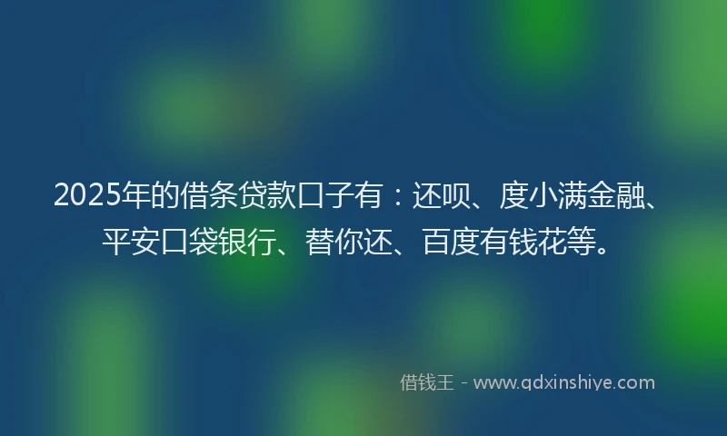 2025年的借条贷款口子有：还呗、度小满金融、平安口袋银行、替你还、百度有钱花等。