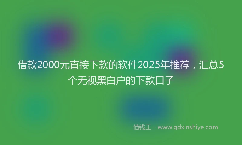 借款2000元直接下款的软件2025年推荐，汇总5个无视黑白户的下款口子