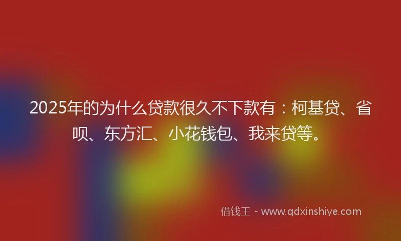 2025年的为什么贷款很久不下款有：柯基贷、省呗、东方汇、小花钱包、我来贷等。
