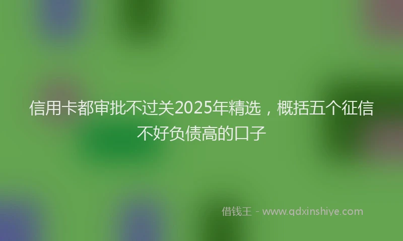 信用卡都审批不过关2025年精选，概括五个征信不好负债高的口子