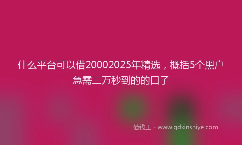 什么平台可以借20002025年精选，概括5个黑户急需三万秒到的的口子