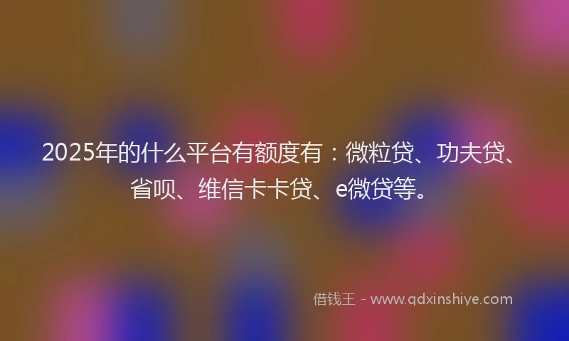 2025年的什么平台有额度有：微粒贷、功夫贷、省呗、维信卡卡贷、e微贷等。