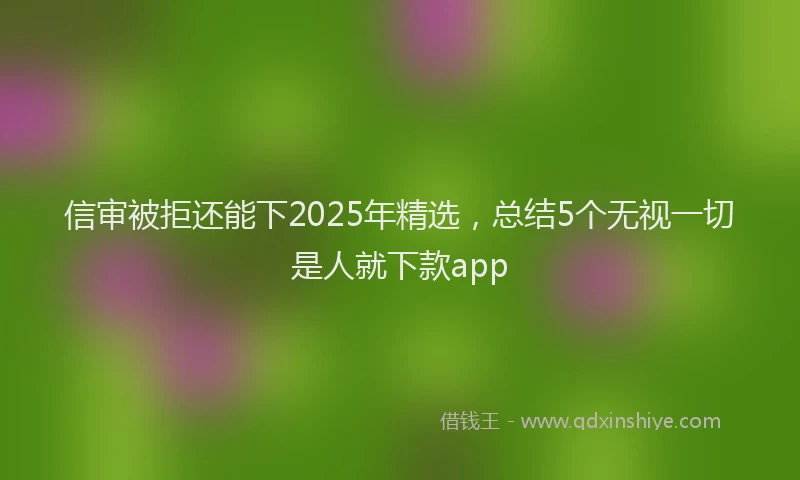 信审被拒还能下2025年精选，总结5个无视一切是人就下款app