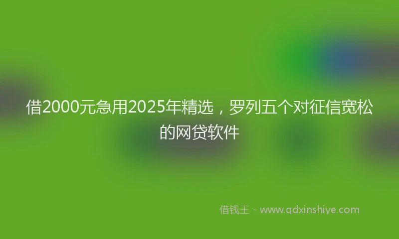 借2000元急用2025年精选，罗列五个对征信宽松的网贷软件