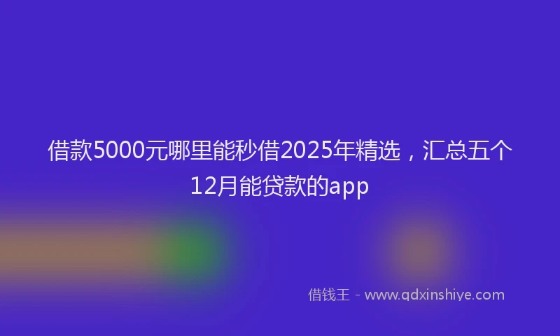 借款5000元哪里能秒借2025年精选，汇总五个12月能贷款的app