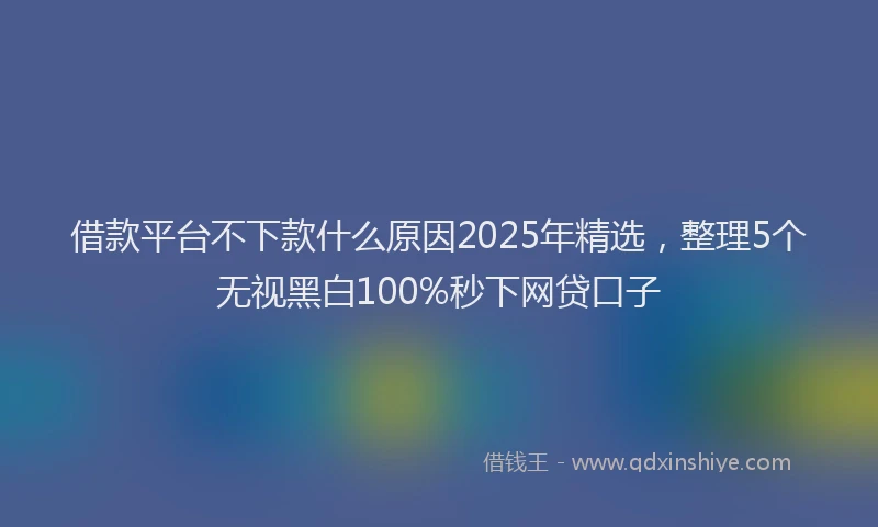 借款平台不下款什么原因2025年精选，整理5个无视黑白100%秒下网贷口子