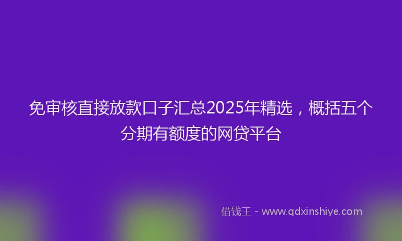 免审核直接放款口子汇总2025年精选，概括五个分期有额度的网贷平台