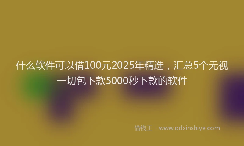 什么软件可以借100元2025年精选，汇总5个无视一切包下款5000秒下款的软件