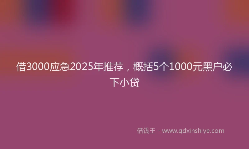 借3000应急2025年推荐，概括5个1000元黑户必下小贷