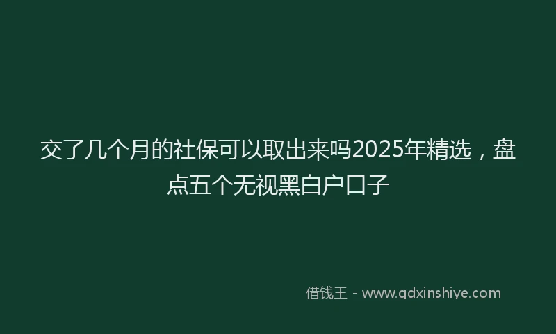 交了几个月的社保可以取出来吗2025年精选，盘点五个无视黑白户口子