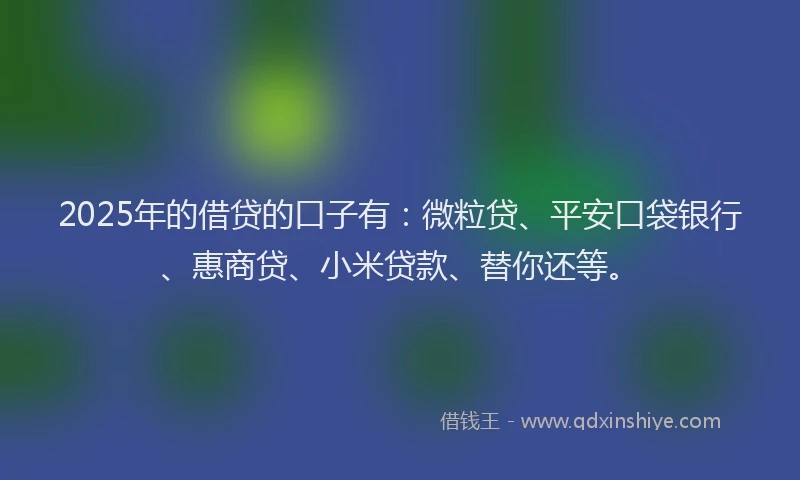 2025年的借贷的口子有：微粒贷、平安口袋银行、惠商贷、小米贷款、替你还等。