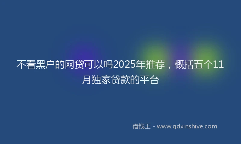 不看黑户的网贷可以吗2025年推荐，概括五个11月独家贷款的平台