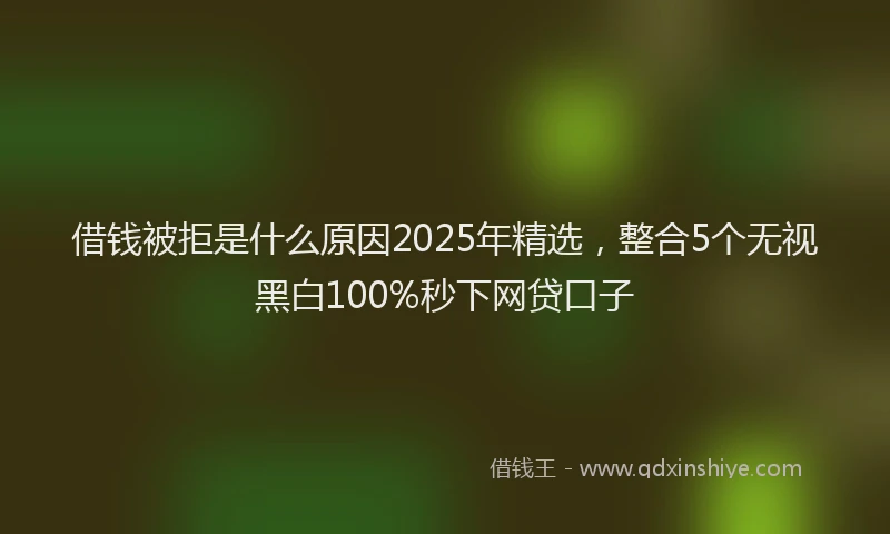 借钱被拒是什么原因2025年精选，整合5个无视黑白100%秒下网贷口子