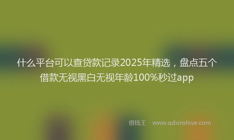 什么平台可以查贷款记录2025年精选，盘点五个借款无视黑白无视年龄100%秒过app
