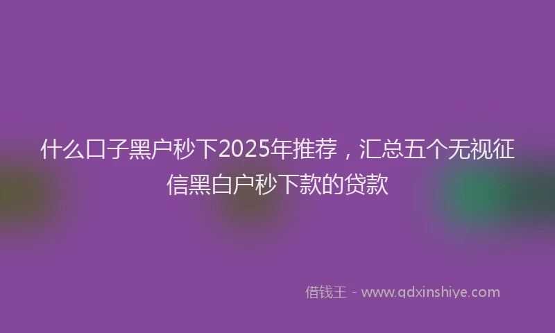 什么口子黑户秒下2025年推荐，汇总五个无视征信黑白户秒下款的贷款