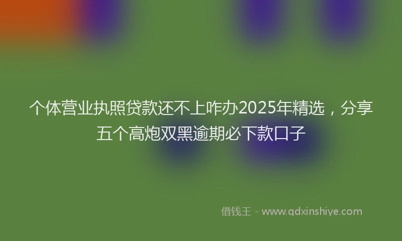 个体营业执照贷款还不上咋办2025年精选，分享五个高炮双黑逾期必下款口子