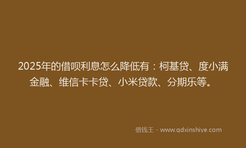 2025年的借呗利息怎么降低有：柯基贷、度小满金融、维信卡卡贷、小米贷款、分期乐等。