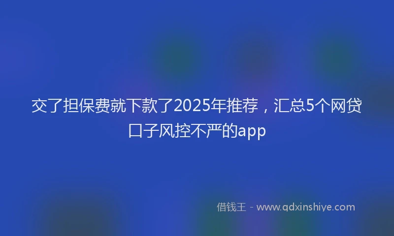 交了担保费就下款了2025年推荐，汇总5个网贷口子风控不严的app