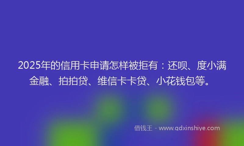 2025年的信用卡申请怎样被拒有：还呗、度小满金融、拍拍贷、维信卡卡贷、小花钱包等。