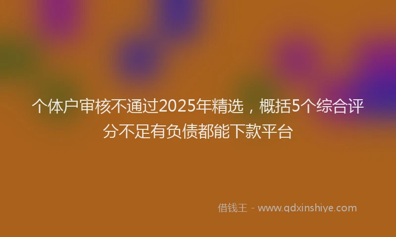 个体户审核不通过2025年精选，概括5个综合评分不足有负债都能下款平台