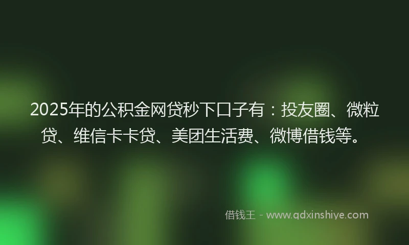 2025年的公积金网贷秒下口子有：投友圈、微粒贷、维信卡卡贷、美团生活费、微博借钱等。