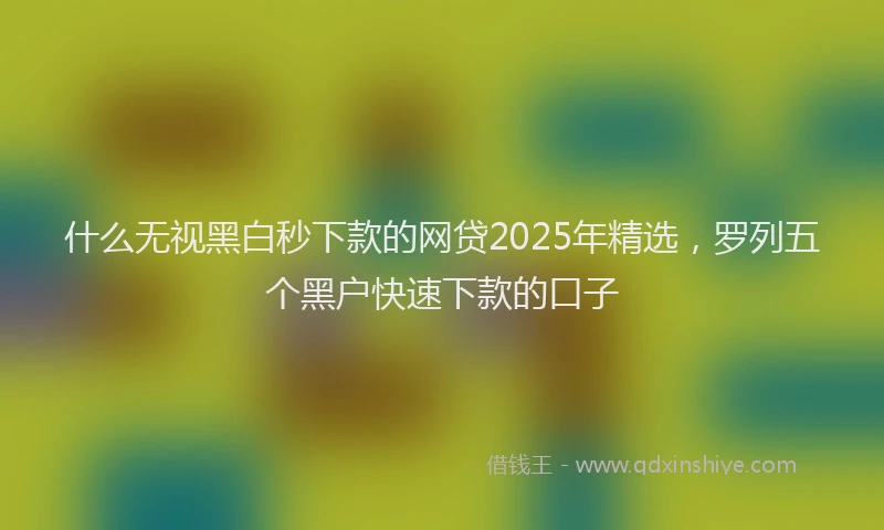 什么无视黑白秒下款的网贷2025年精选，罗列五个黑户快速下款的口子