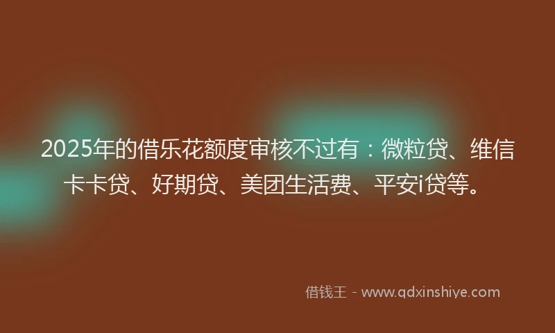 2025年的借乐花额度审核不过有：微粒贷、维信卡卡贷、好期贷、美团生活费、平安i贷等。