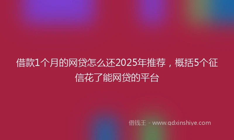 借款1个月的网贷怎么还2025年推荐，概括5个征信花了能网贷的平台