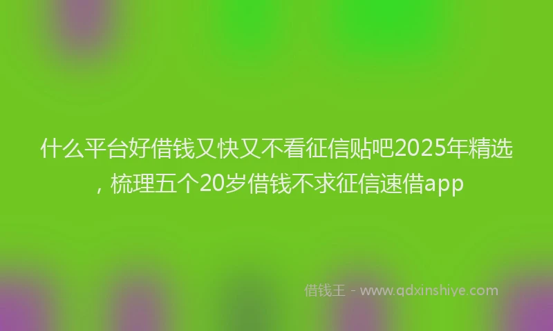 什么平台好借钱又快又不看征信贴吧2025年精选，梳理五个20岁借钱不求征信速借app
