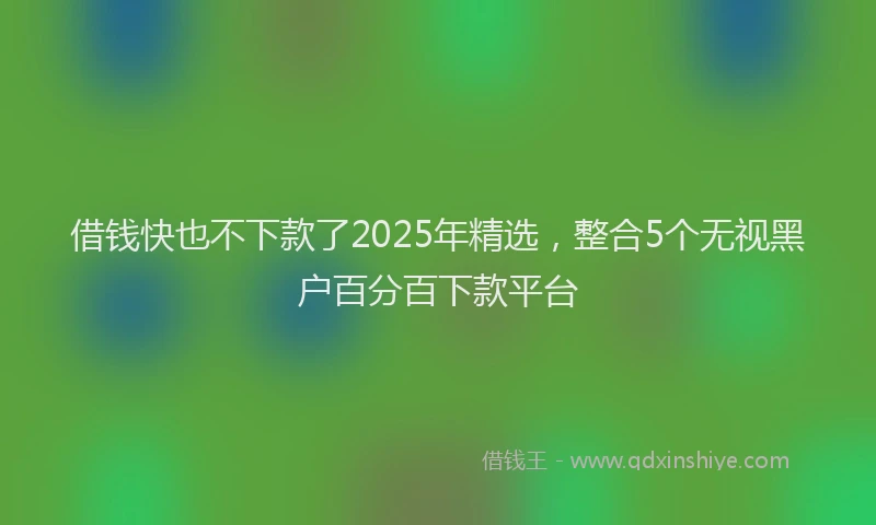 借钱快也不下款了2025年精选，整合5个无视黑户百分百下款平台