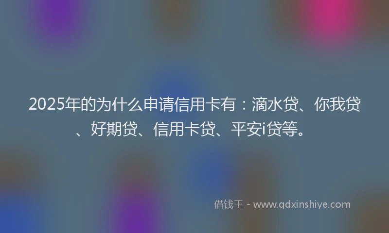 2025年的为什么申请信用卡有：滴水贷、你我贷、好期贷、信用卡贷、平安i贷等。