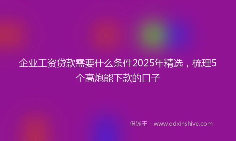 企业工资贷款需要什么条件2025年精选，梳理5个高炮能下款的口子