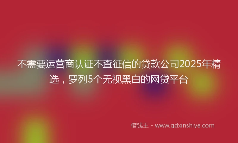 不需要运营商认证不查征信的贷款公司2025年精选，罗列5个无视黑白的网贷平台