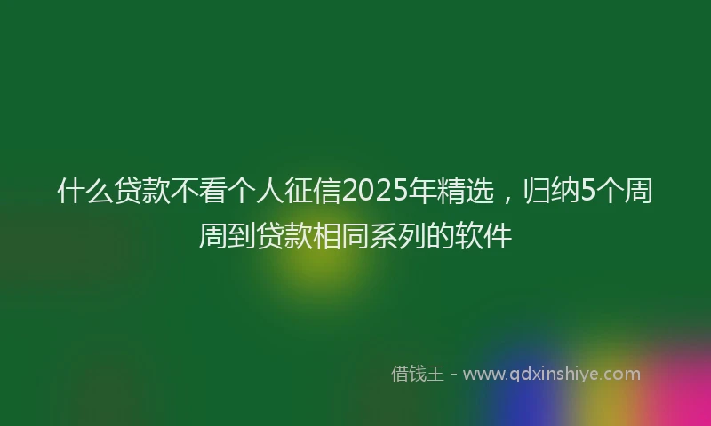 什么贷款不看个人征信2025年精选，归纳5个周周到贷款相同系列的软件