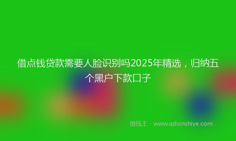 借点钱贷款需要人脸识别吗2025年精选，归纳五个黑户下款口子