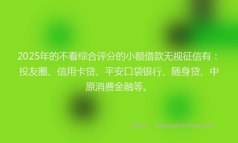 2025年的不看综合评分的小额借款无视征信有：投友圈、信用卡贷、平安口袋银行、随身贷、中原消费金融等。