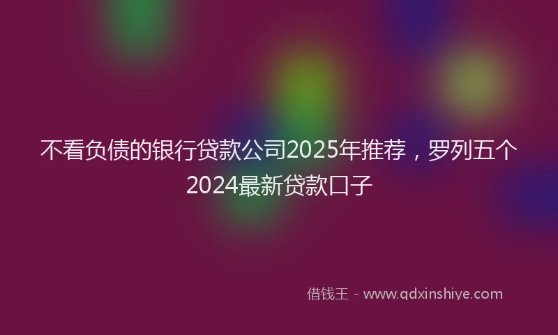 不看负债的银行贷款公司2025年推荐，罗列五个2024最新贷款口子