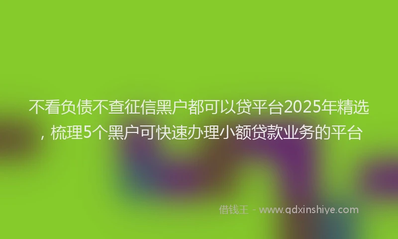 不看负债不查征信黑户都可以贷平台2025年精选，梳理5个黑户可快速办理小额贷款业务的平台
