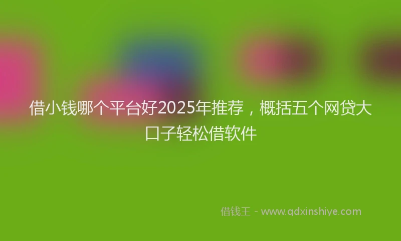 借小钱哪个平台好2025年推荐，概括五个网贷大口子轻松借软件
