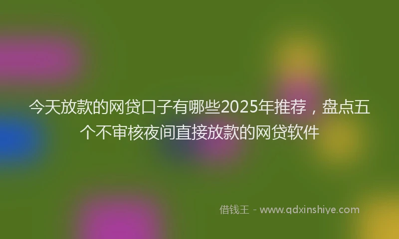 今天放款的网贷口子有哪些2025年推荐，盘点五个不审核夜间直接放款的网贷软件