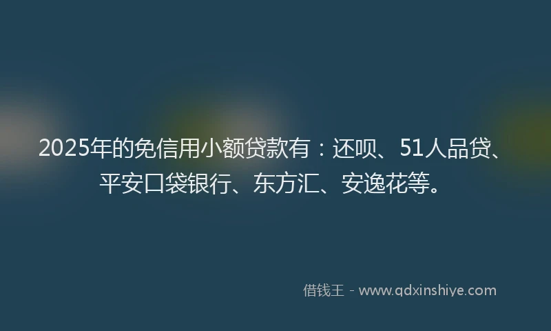 2025年的免信用小额贷款有：还呗、51人品贷、平安口袋银行、东方汇、安逸花等。