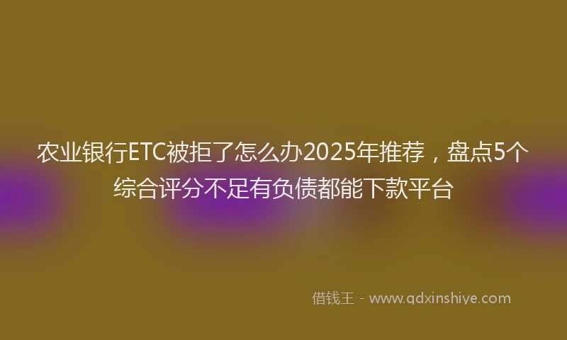 农业银行ETC被拒了怎么办2025年推荐，盘点5个综合评分不足有负债都能下款平台