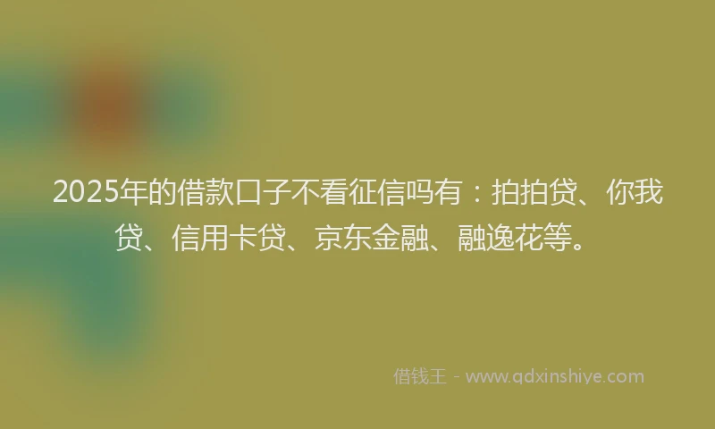 2025年的借款口子不看征信吗有：拍拍贷、你我贷、信用卡贷、京东金融、融逸花等。